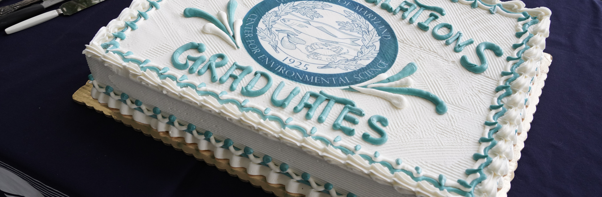 Commencement Cake
