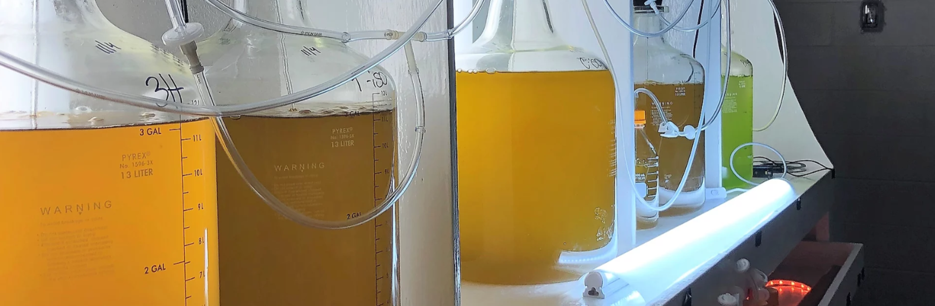 Algae containers sit on shelves in a laboratory