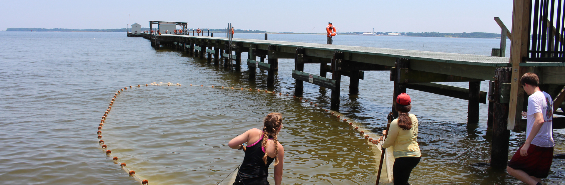 Students collect specimen with a large net off of CBL's research pier