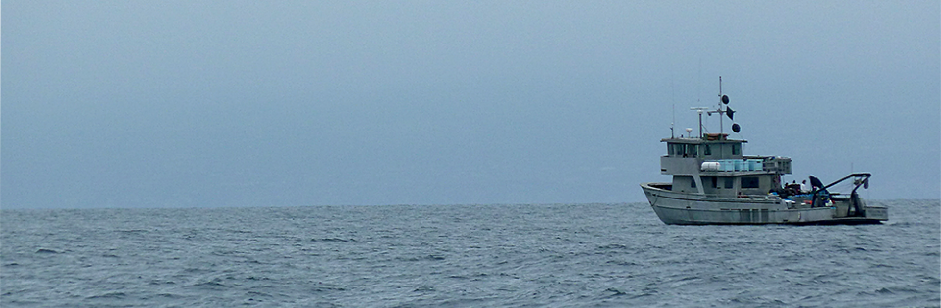 Header photo for Cram Lab