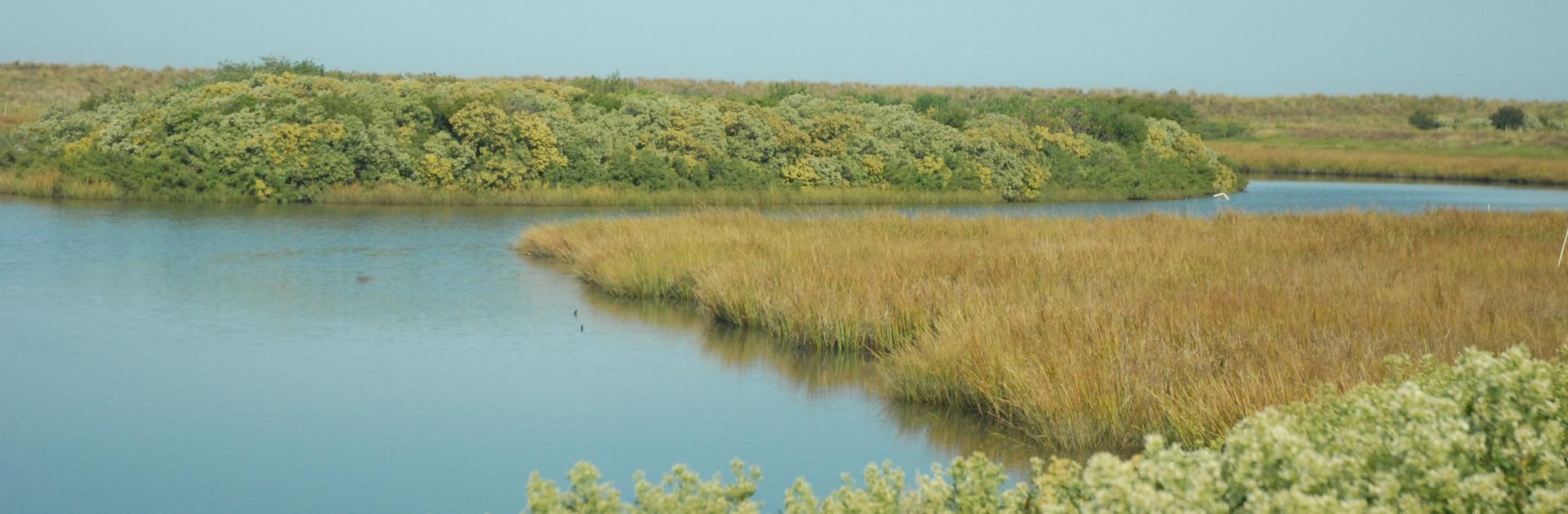 Poplar Island scenery