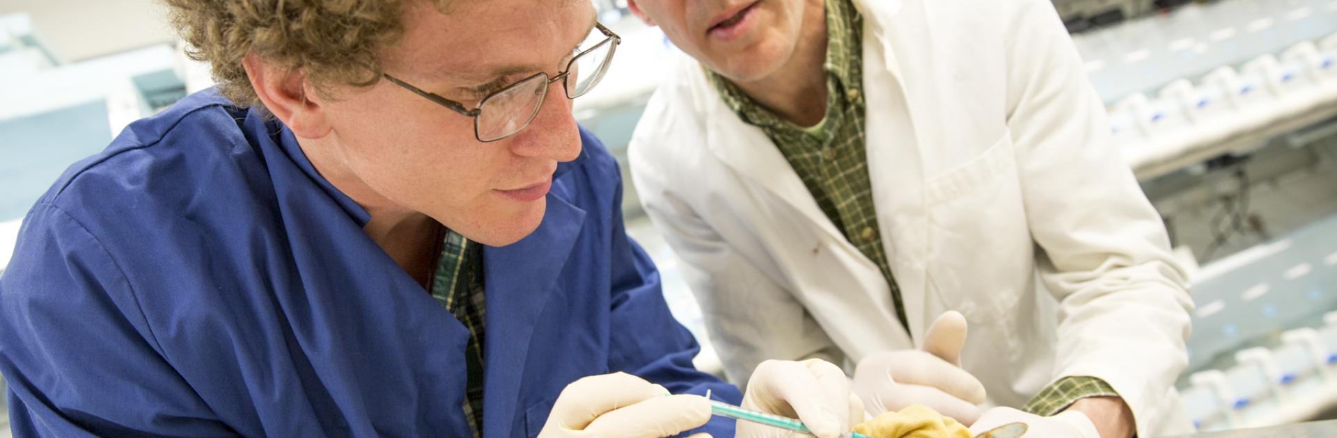 two scientists at work in the lab