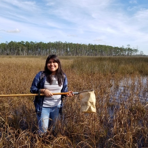 Julissa smiling, standing in knee-deep waters on a wetland holding a net