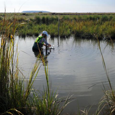 person standing in a pond