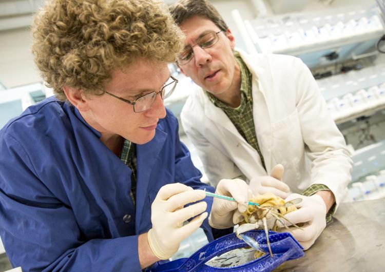 two scientists at work in the lab