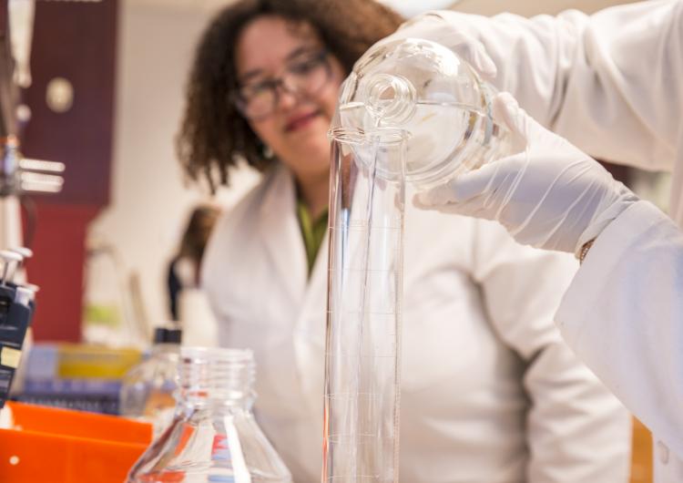 scientists working in the lab