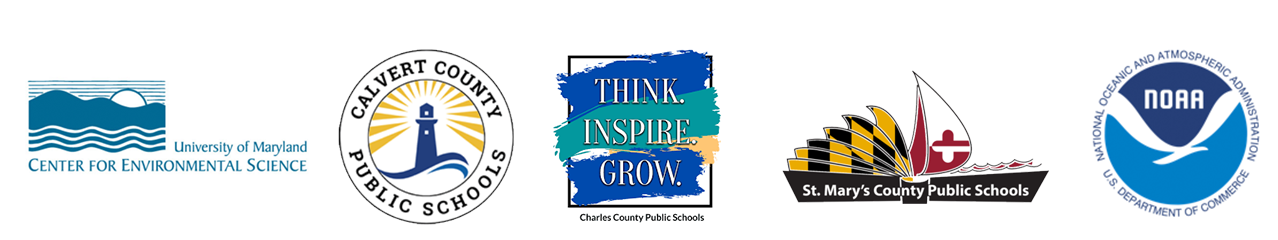 Waves of Plastic Partner Logos