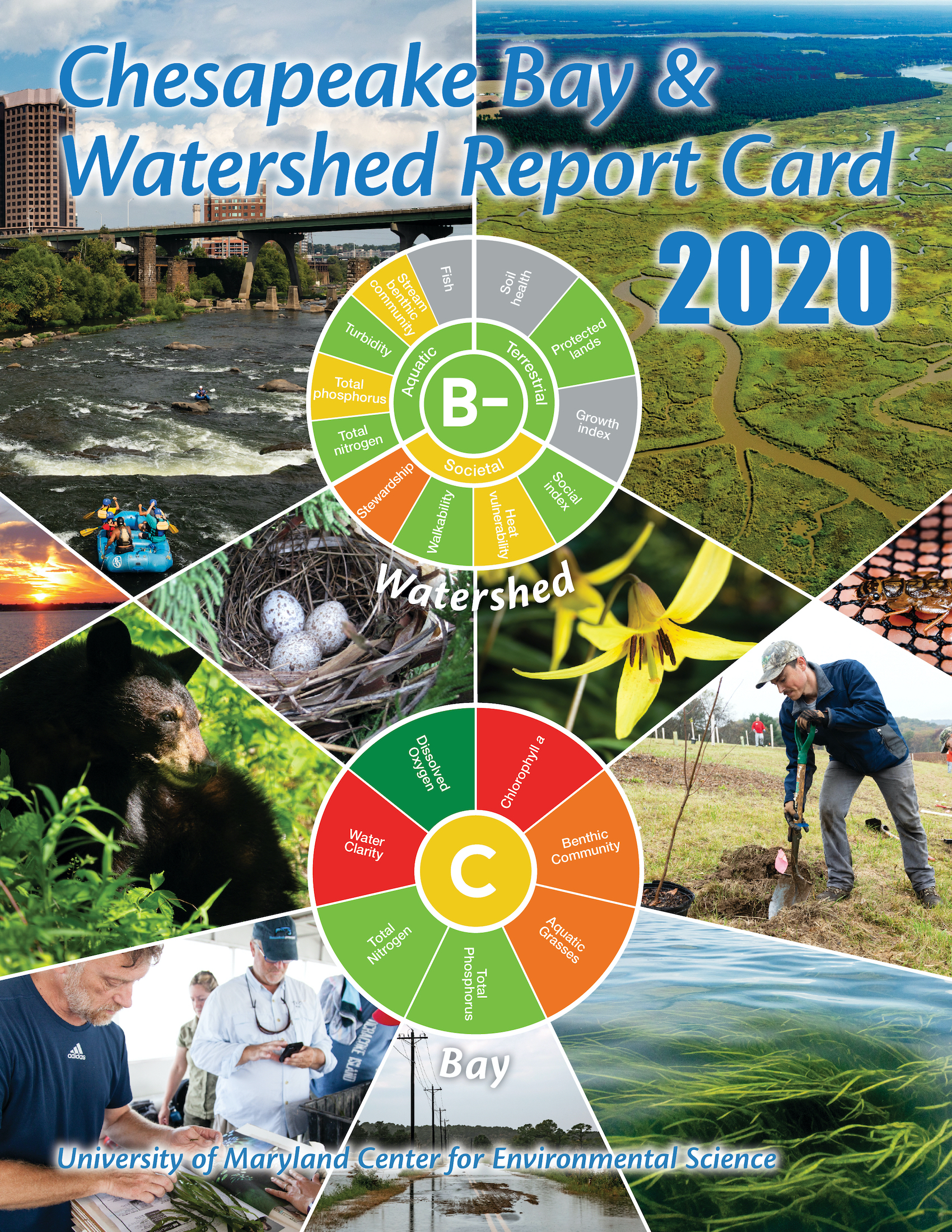 Chesapeake Bay health score held steady in 2020