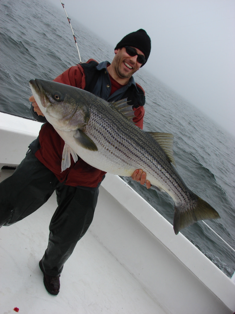 UMCES scientists win Best Paper of the Year award from American Fisheries Society