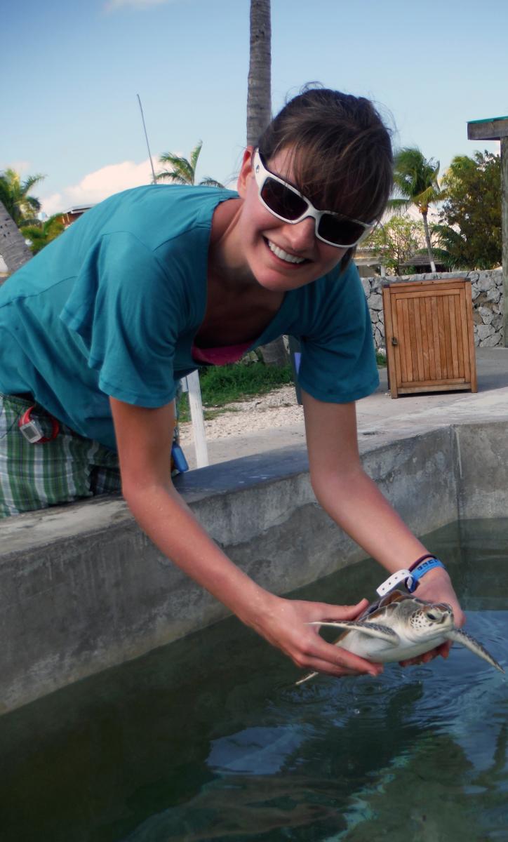 The Lost Years Project: Tracking Young Sea Turtles