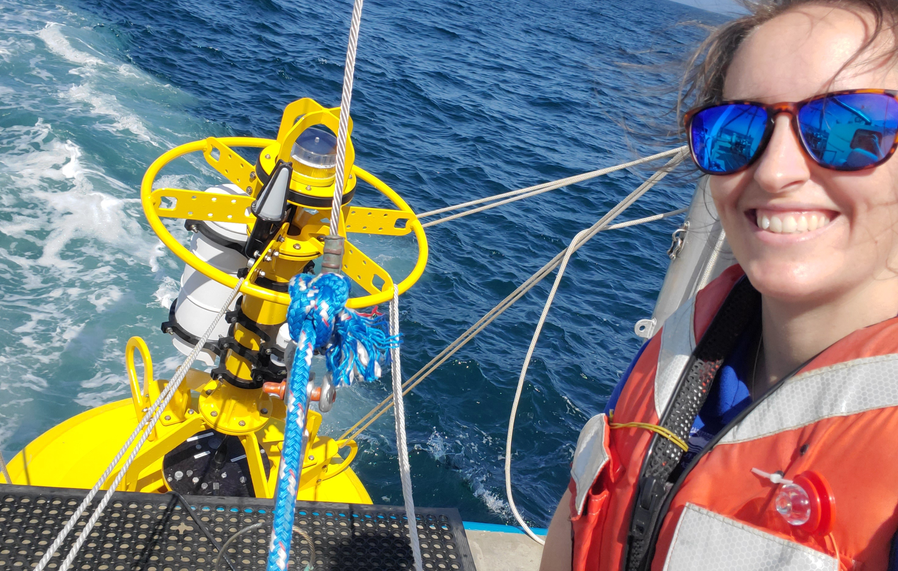 Next Generation: Amber Fandel on tracking the movement of marine mammals