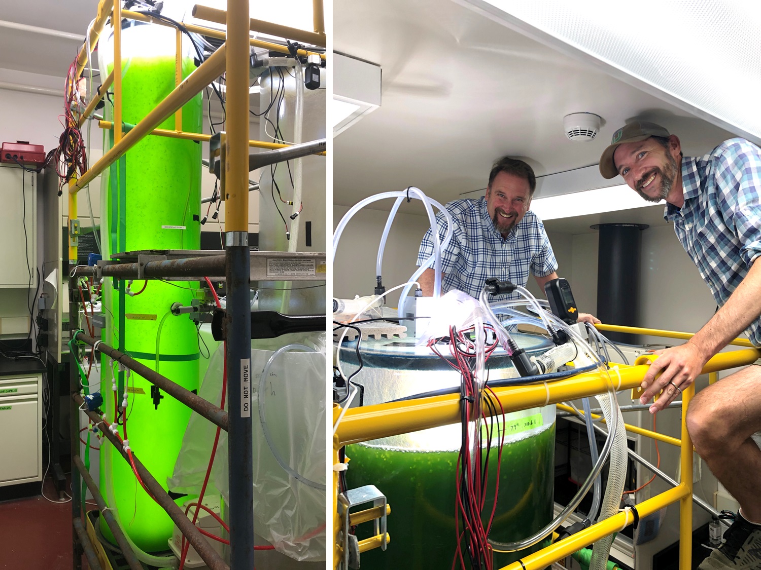 Novel biomanufacturing process will capture carbon and bolster human health