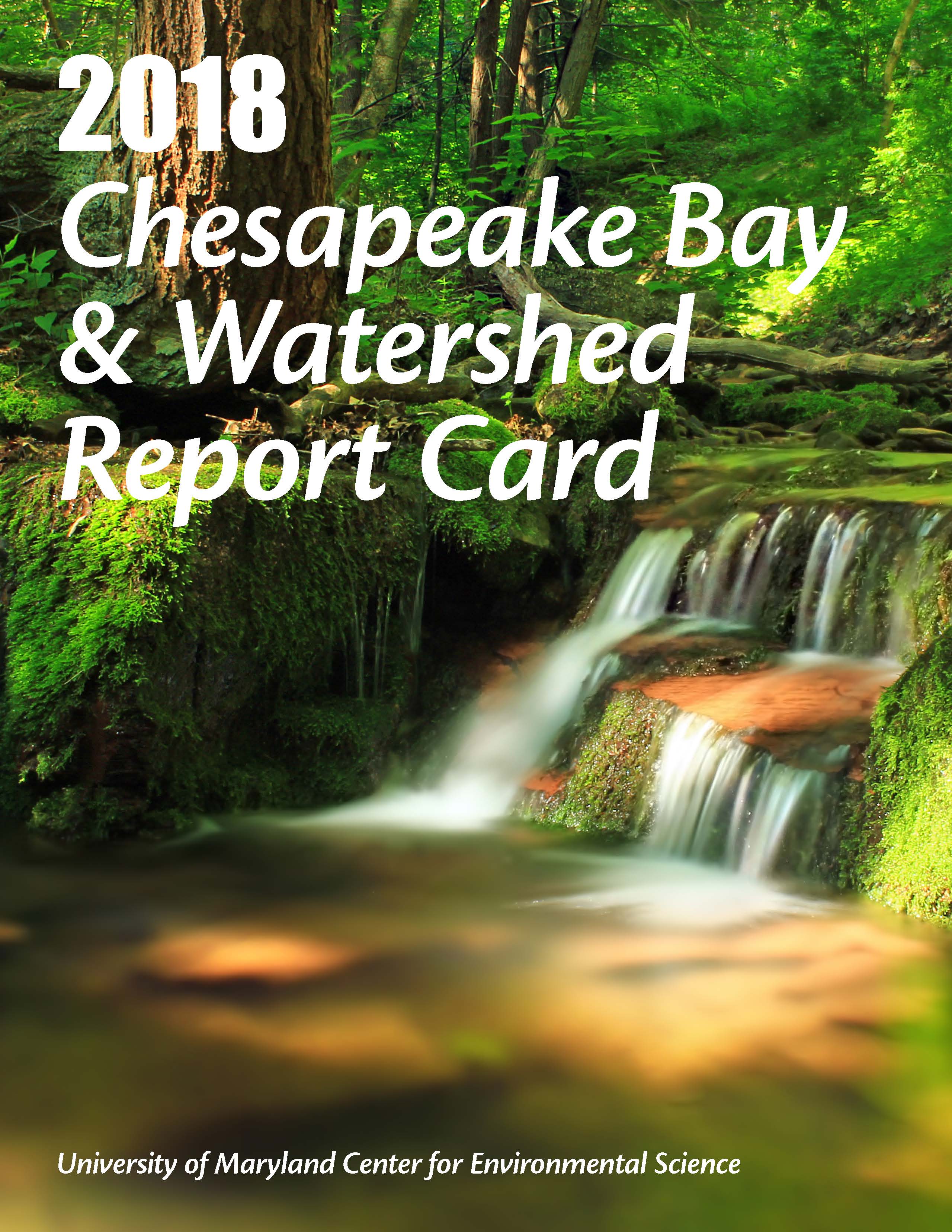 Chesapeake Bay health score decreased last year due to extreme rainfall