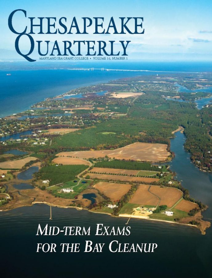 A Bay in a box: How scientific findings could help a computer model keep the Chesapeake Bay on its pollution diet (Chesapeake Quarterly)