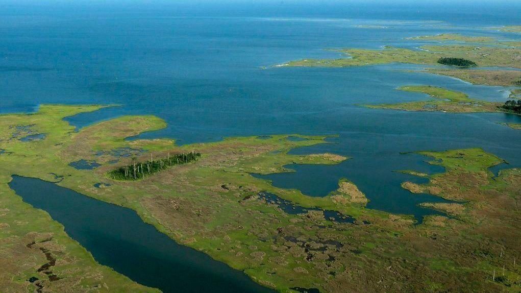 Experts say Chesapeake Bay water quality is the best since monitoring began
