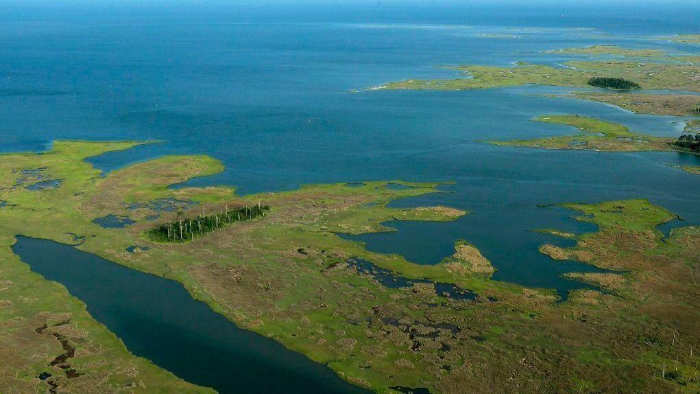 Experts say Chesapeake Bay water quality is the best since monitoring began