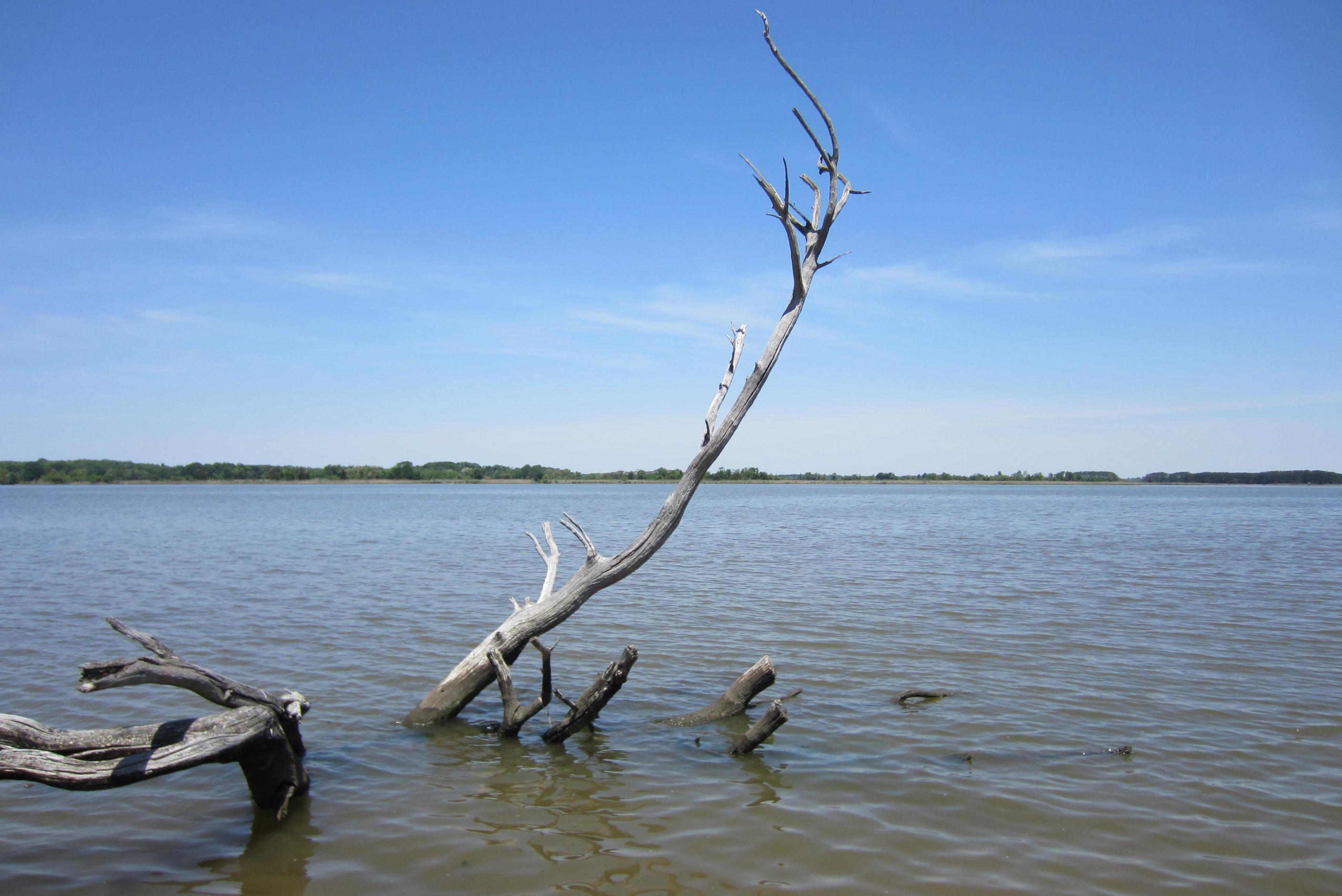 Chesapeake Bay “dead zone” predicted to be 13%