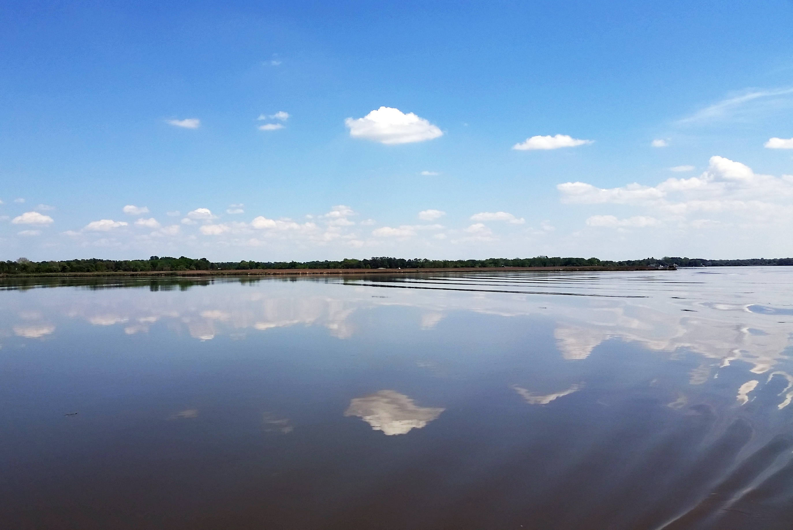 Study finds some water quality improvements in Choptank River