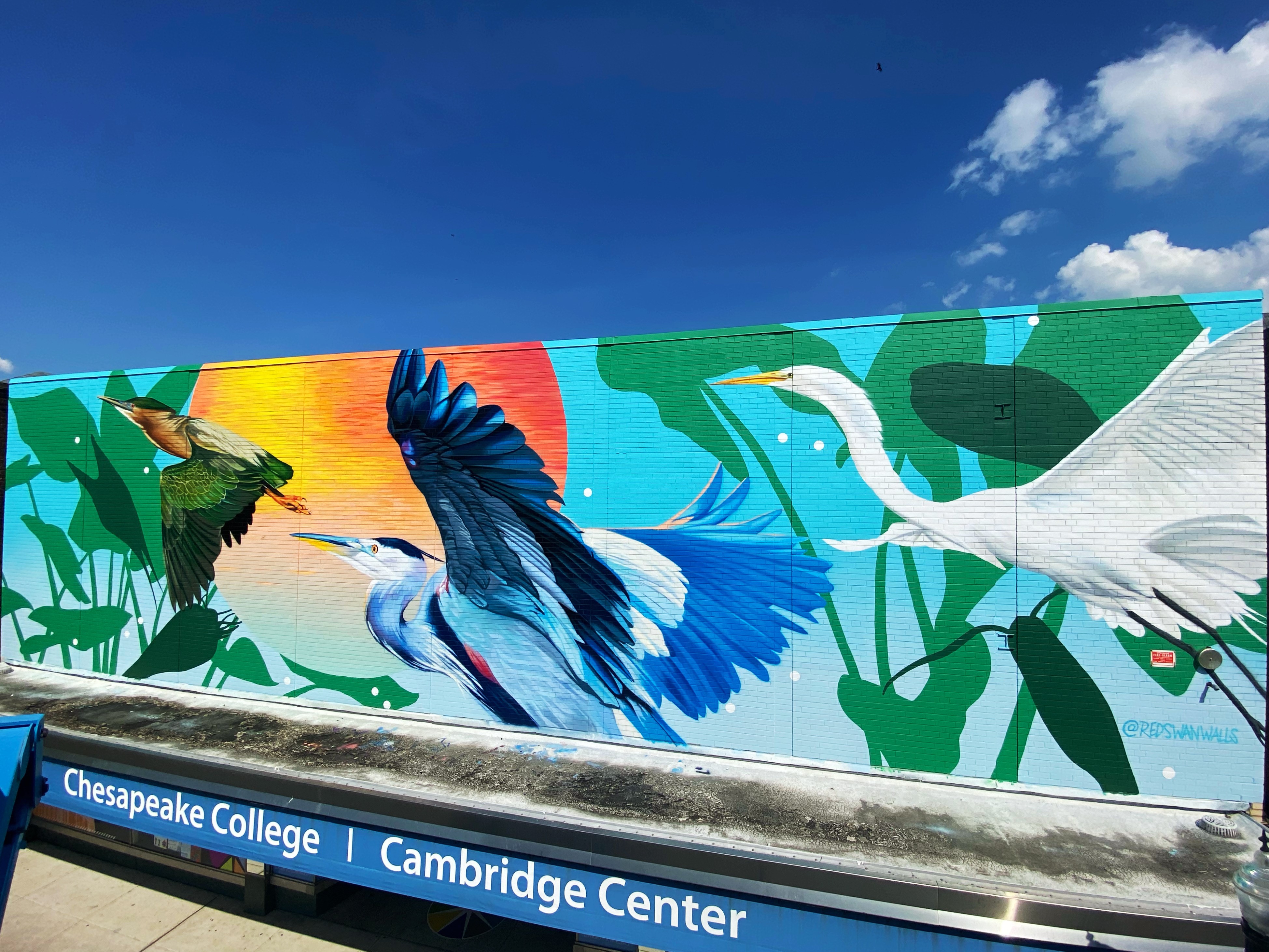Art and Science come together to enhance Cambridge’s Streetscape.