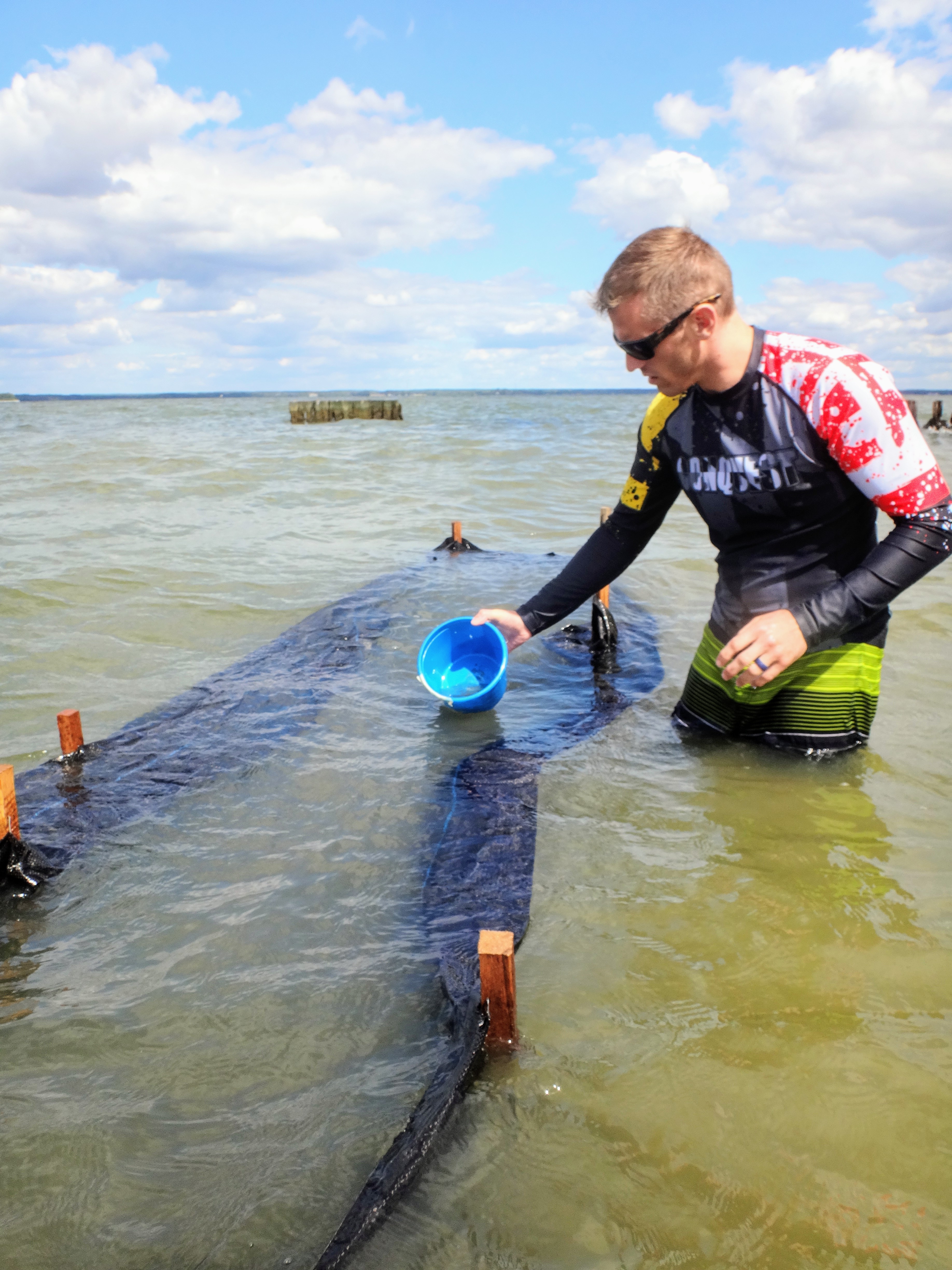 Professor Matt Gray on the filtration capabilities of oysters