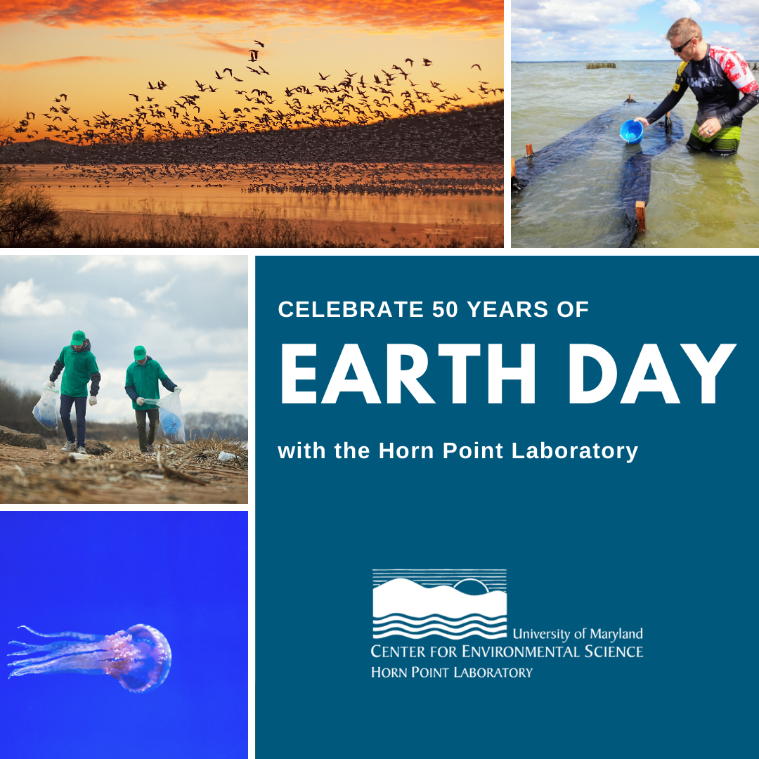 Horn Point Laboratory Earth Day Memories
