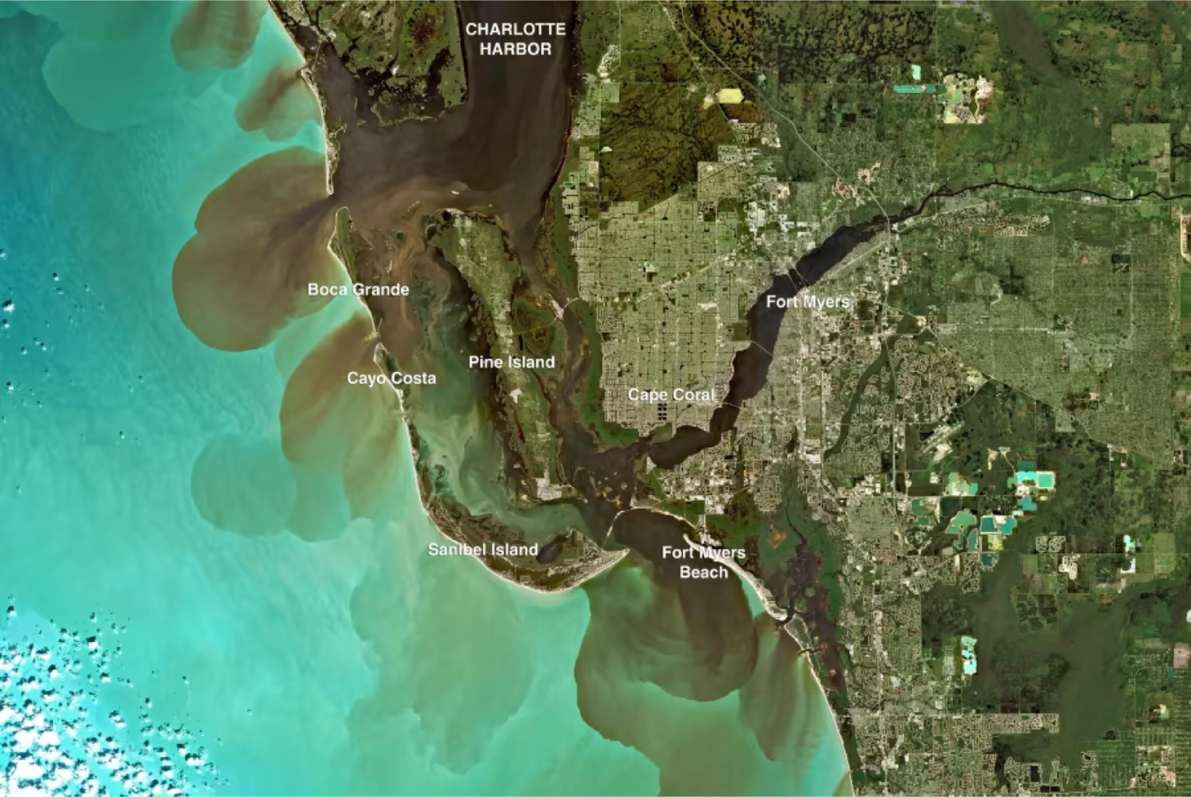 Collaborative Research: RAPID: Unprecedented Hurricane Ian nutrient and organic matter inputs to Southwest Florida coastal waters. National Science Foundation.