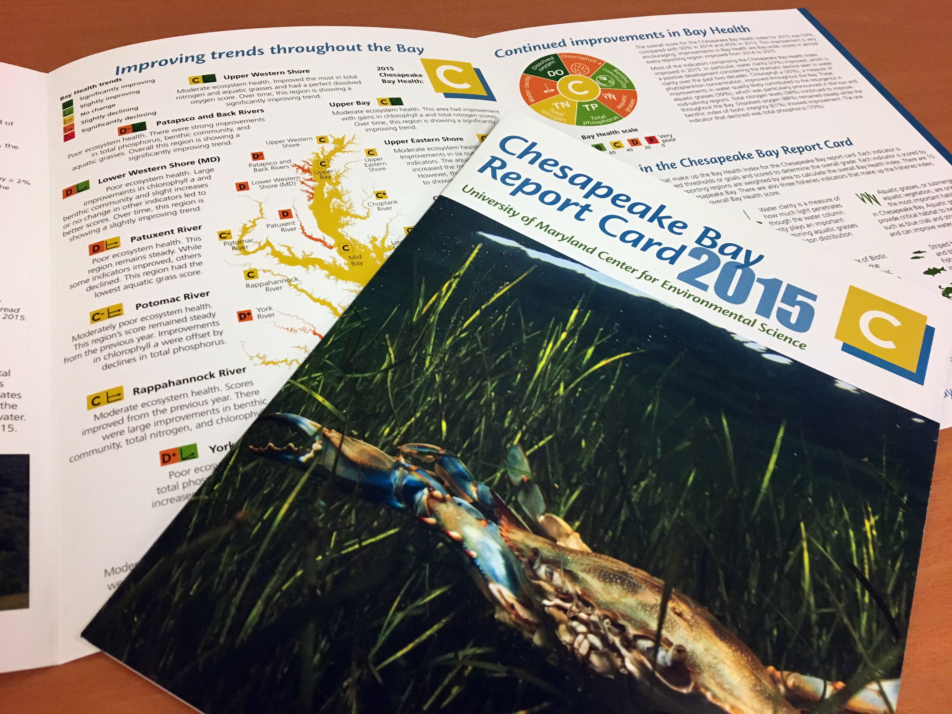 Chesapeake Bay health improves in 2015