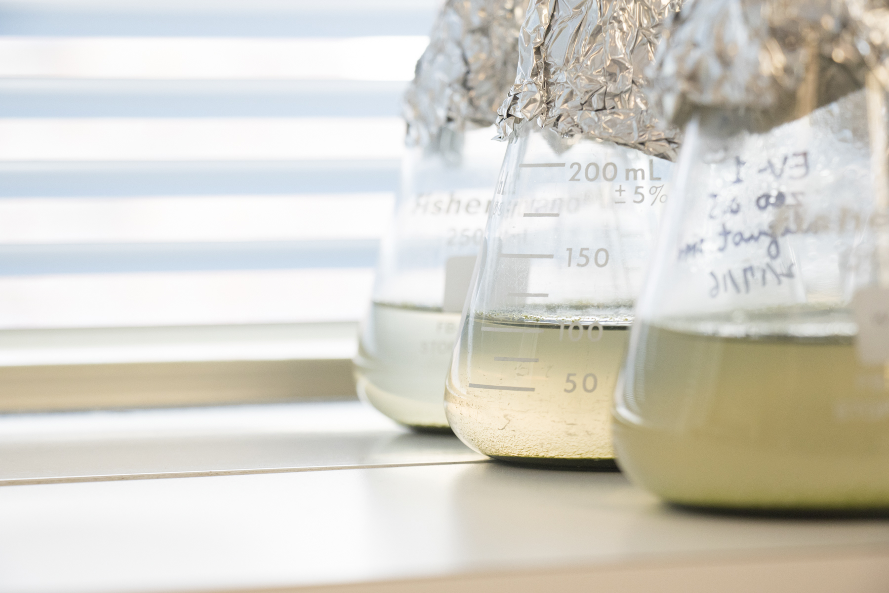 Science-industry partnerships awarded for Maryland research