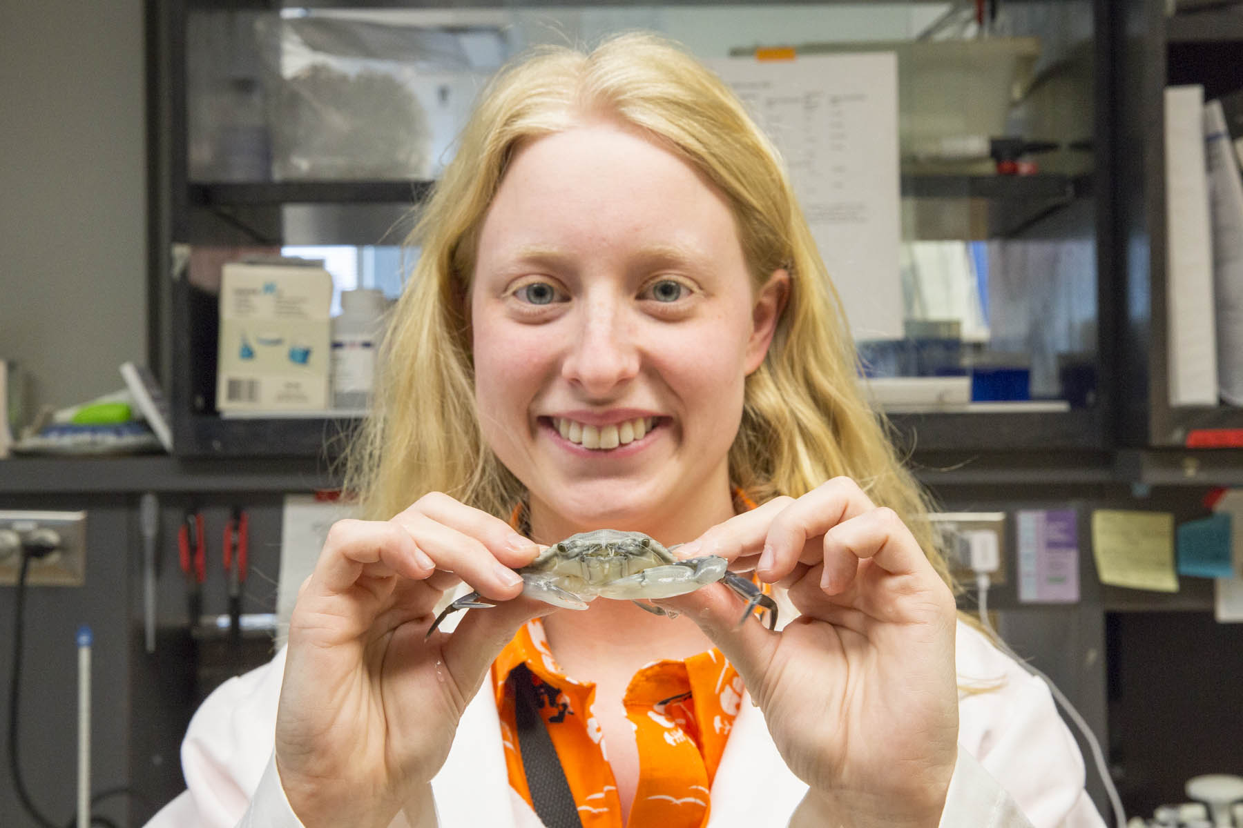 Next Generation: Leah Maurer on the early development of blue crabs