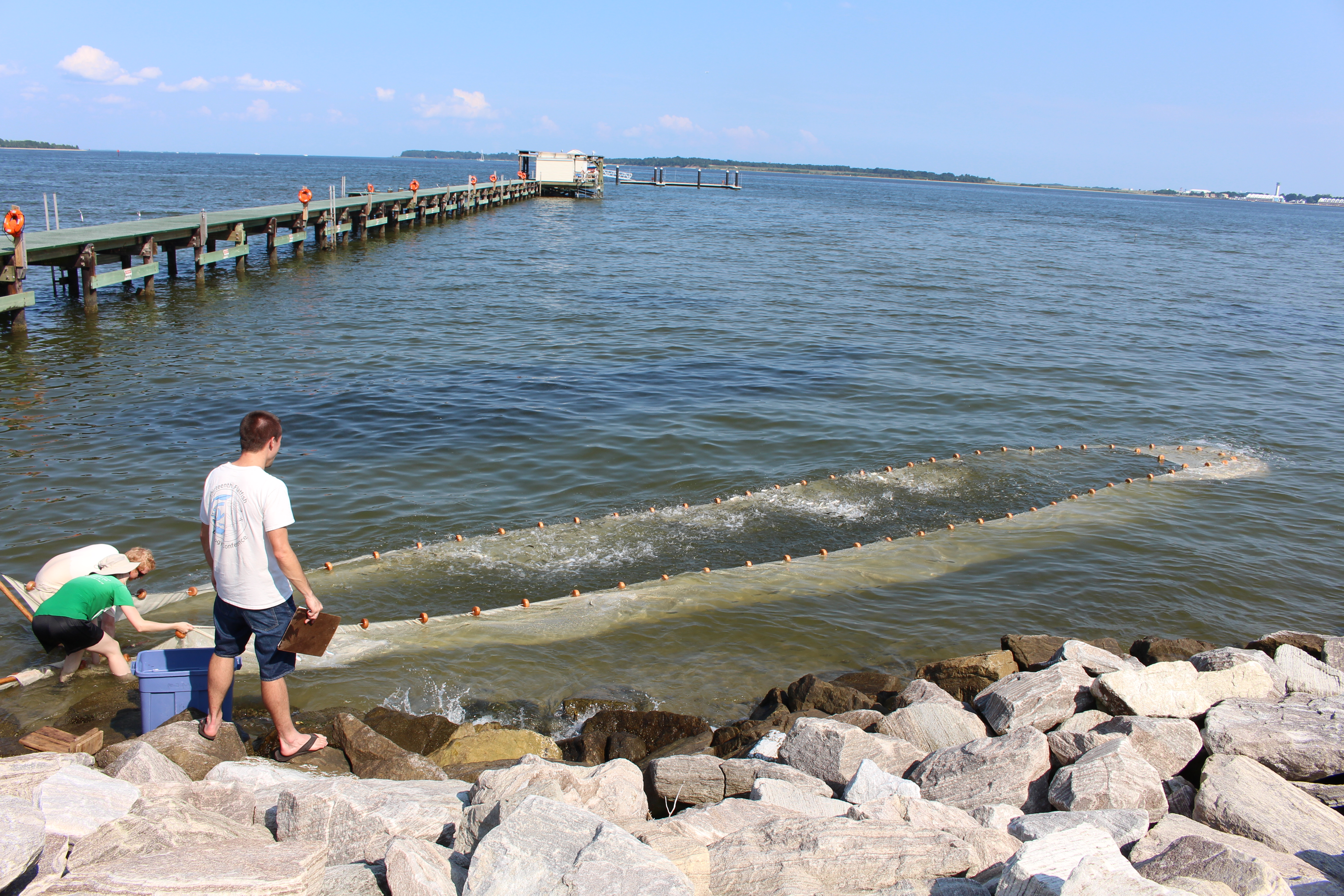 Going “In-Seine”: Counting Fish, Predicting Patterns