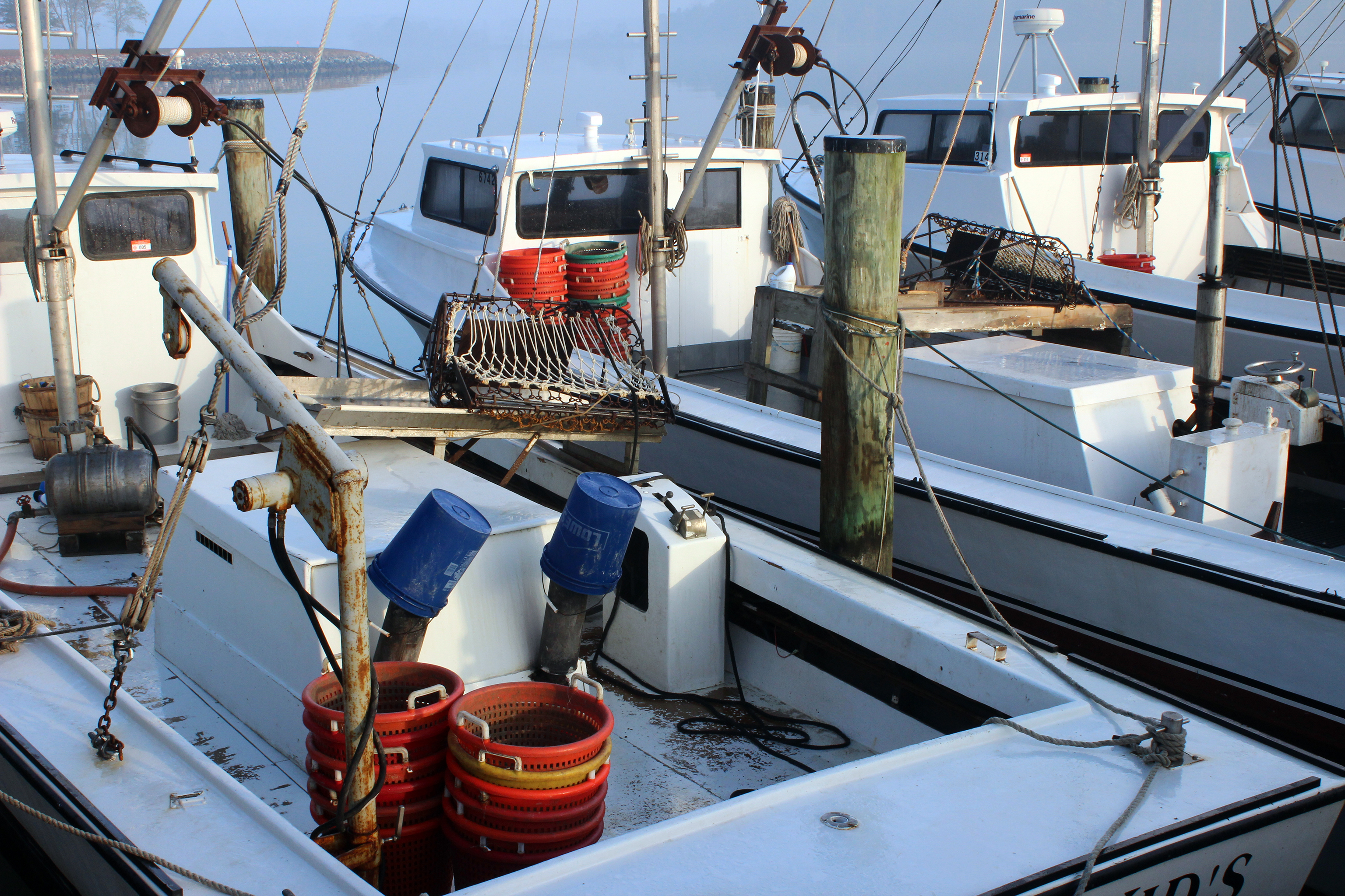 OysterFutures project kicks off discussions about fishing and restoration