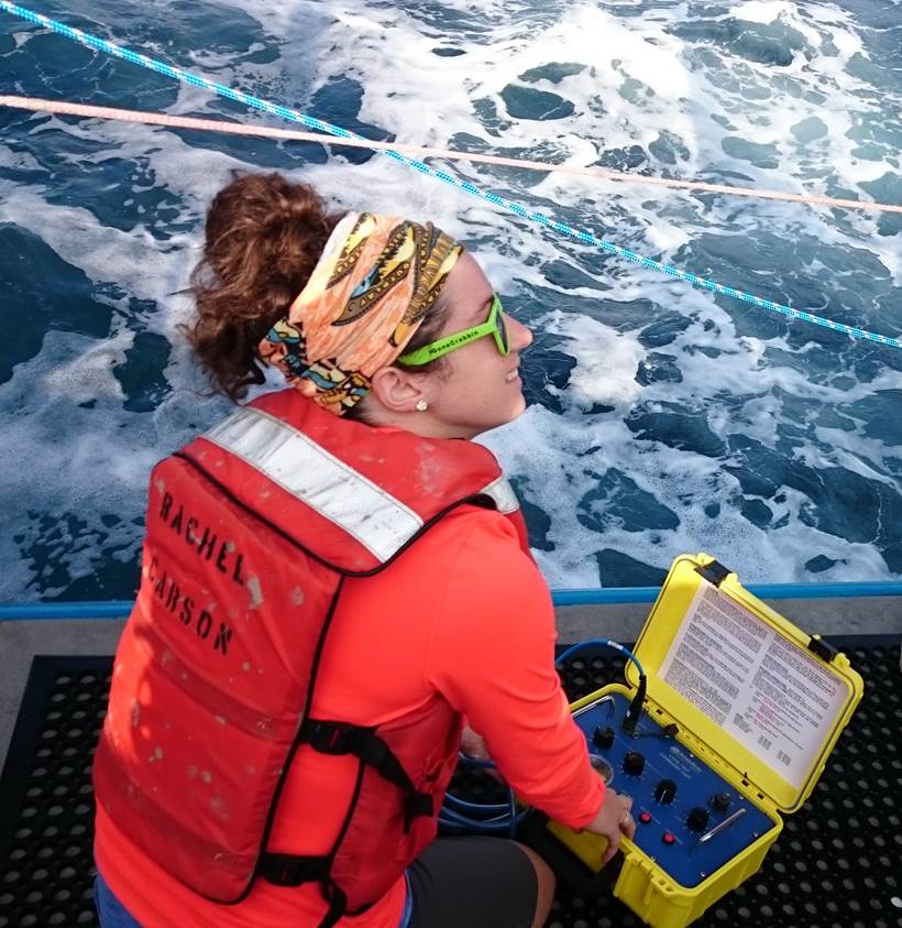 UMCES scientists help track porpoises to measure impact of offshore wind farms