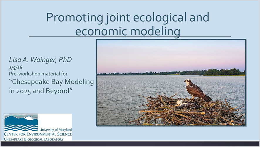 Promoting joint ecological and economic modeling