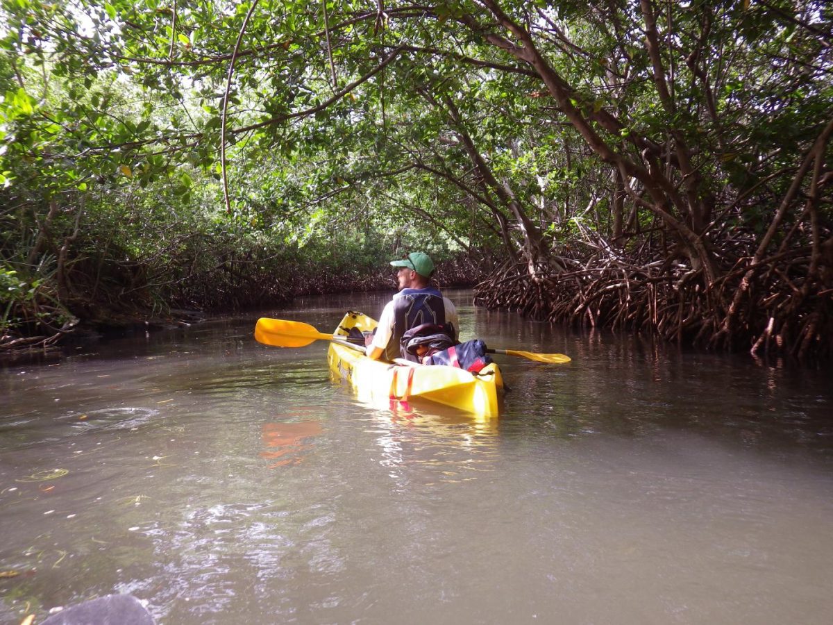 GP-IMPACT: Pathways TO RENEW: Tropical Oceanography Research Experiences for the Next-Generation Workforce