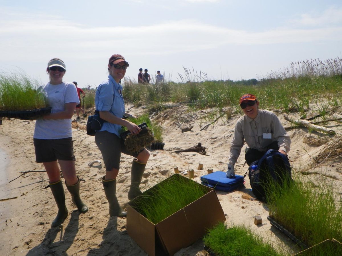 Ecosystem restoration of Cove Point freshwater marsh