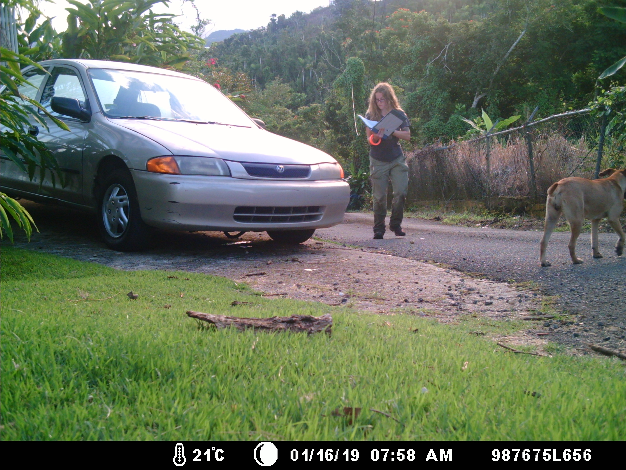 Next Generation: Claire Nemes on free-roaming cats and migratory songbirds