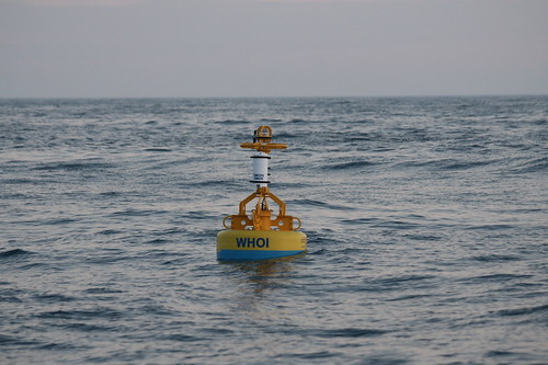 Monitoring Buoy to Help Research Marine Mammals off Atlantic Coast