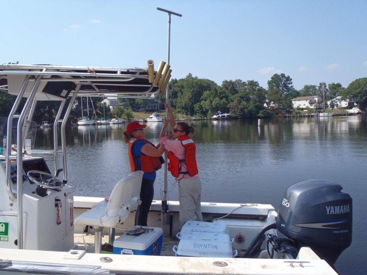 Quantifying changes to nutrient cycling and nitrogen removal in an estuary as a consequence of aeration