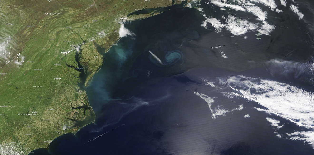 Globally diverse working group mobilizes to tackle increasing oceanic salt intrusion into estuaries and tidal rivers