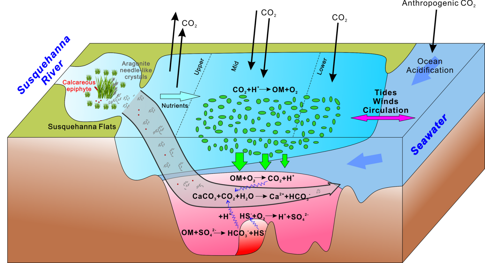 Identifying Thresholds in Coupled Biogeochemical-Biological-Economic Systems Under Multiple Stressors. National Atmospheric and Oceanic Administration