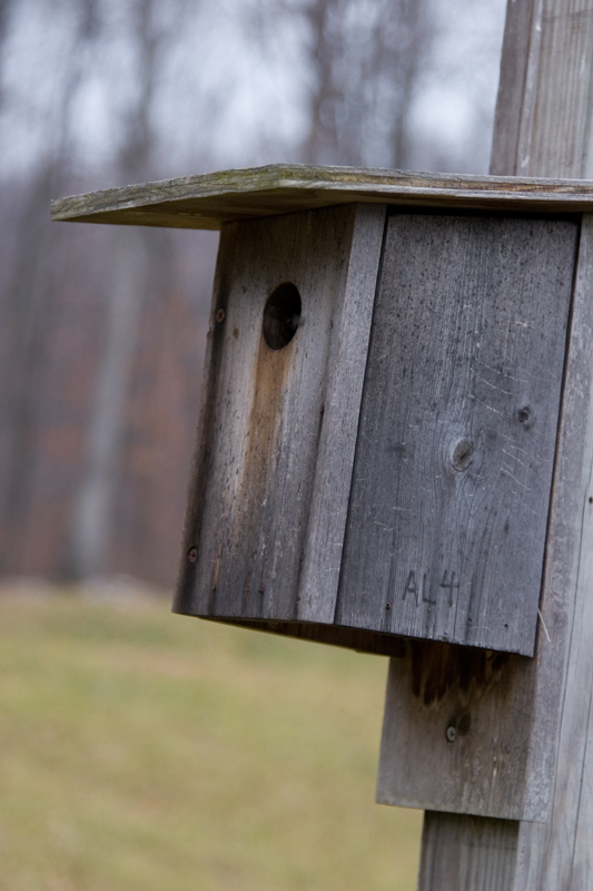 Researchers to study the value of citizen scientists in data gathering