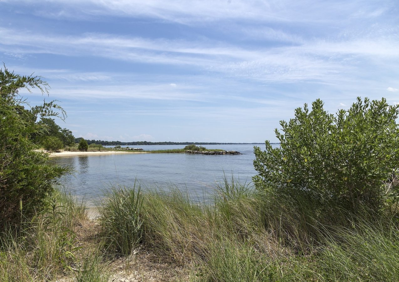 Patuxent River Estuary