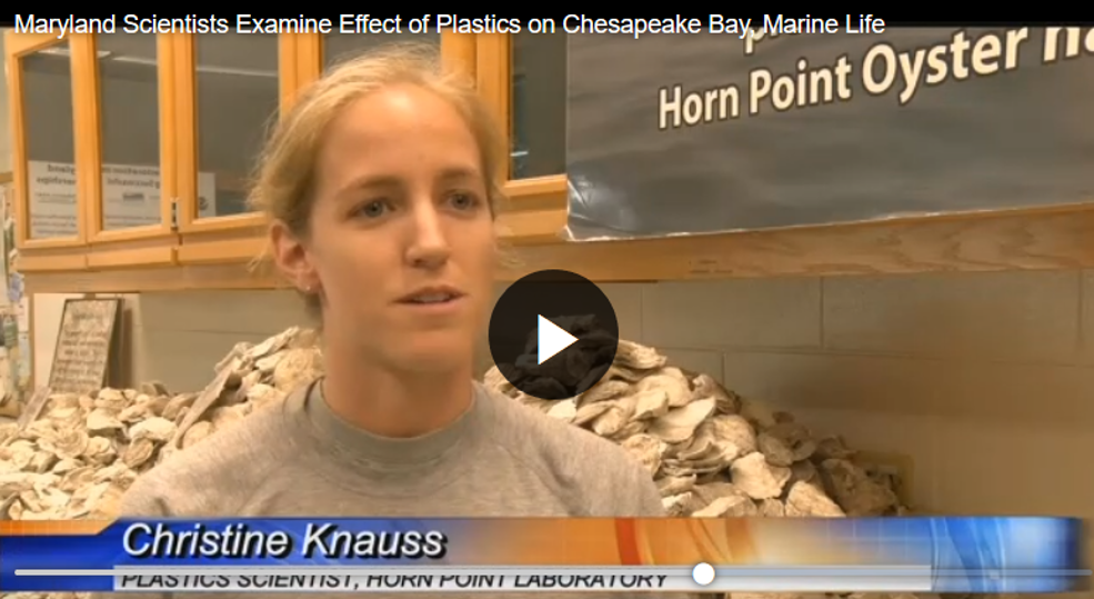 Maryland Scientists Examine Effect of Plastics on Chesapeake Bay, Marine Life