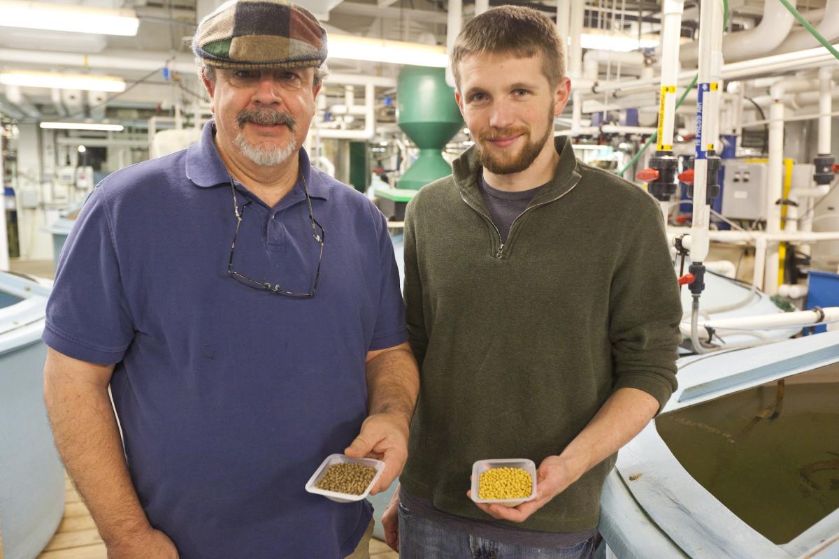 New tech transfer projects could lead to smarter fish feed, turn algae to biofuel