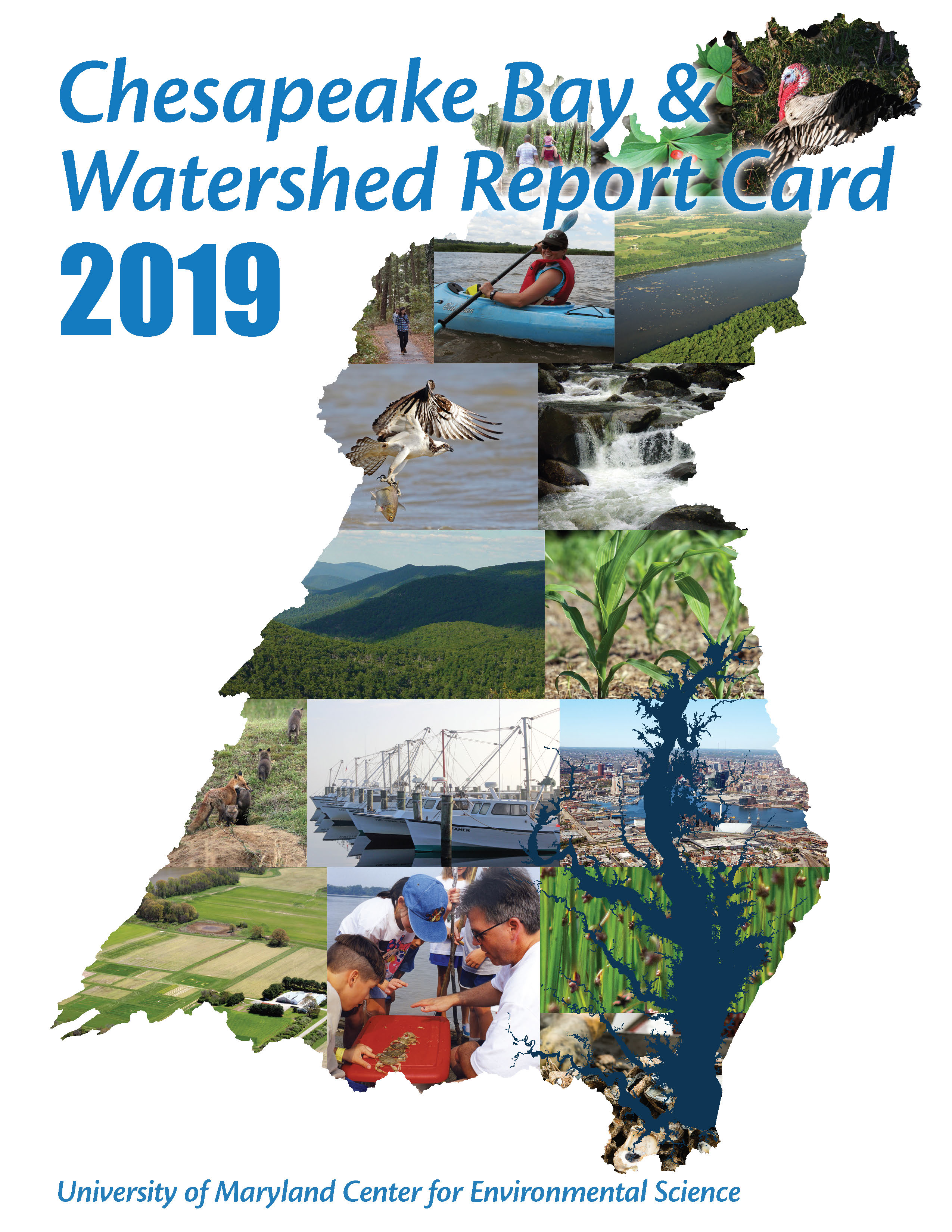 Chesapeake Bay Health score decreased in 2019
