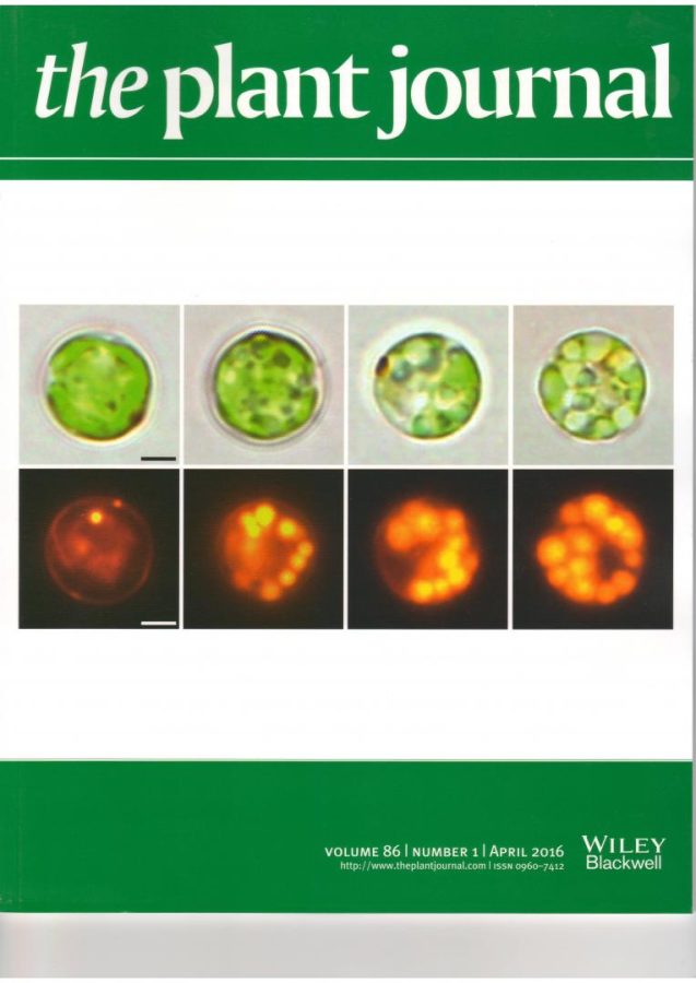 Cover story and featured article in The Plant Journal