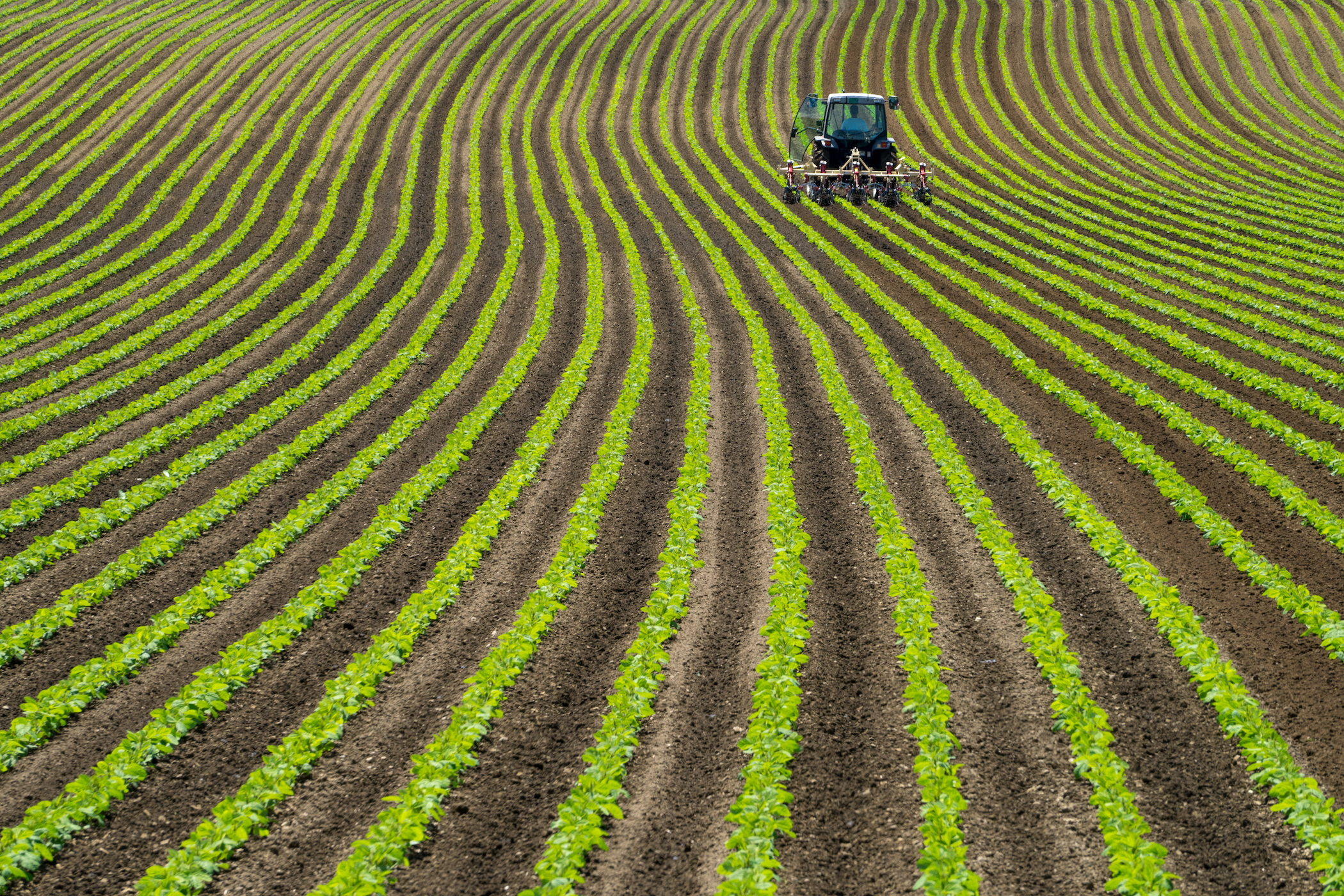 International effort to assess “green ammonia” impact on clean energy and food production