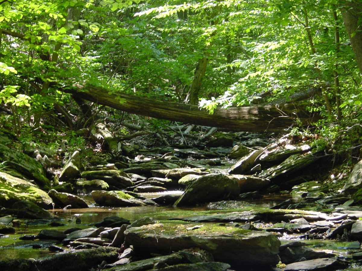 Improvements in Surface Water Quality Due to Declining Atmospheric N Deposition