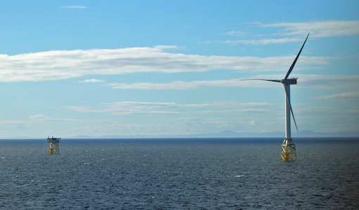 New study calls for continuing need to assess impacts of offshore wind farms on marine species