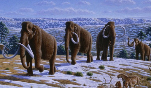 Scientists look to ancient past to better predict how species may respond to climate change